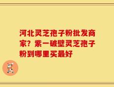 河北灵芝孢子粉批发商家？紫一破壁灵芝孢子粉到哪里买最好