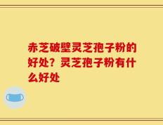 赤芝破壁灵芝孢子粉的好处？灵芝孢子粉有什么好处
