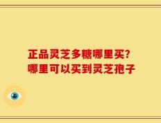 正品灵芝多糖哪里买？哪里可以买到灵芝孢子