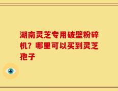 湖南灵芝专用破壁粉碎机？哪里可以买到灵芝孢子