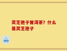 灵芝孢子普洱茶？什么是灵芝孢子
