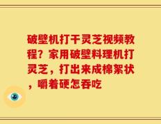 破壁机打干灵芝视频教程？家用破壁料理机打灵芝，打出来成棉絮状，嚼着硬怎吞吃