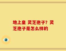 地上皇 灵芝孢子？灵芝孢子是怎么样的