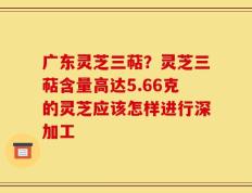 广东灵芝三萜？灵芝三萜含量高达5.66克的灵芝应该怎样进行深加工