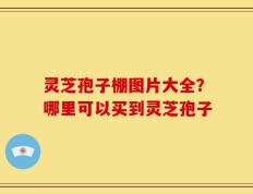 灵芝孢子棚图片大全？哪里可以买到灵芝孢子