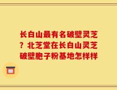 长白山最有名破壁灵芝？北芝堂在长白山灵芝破壁胞子粉基地怎样样