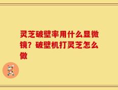 灵芝破壁率用什么显微镜？破壁机打灵芝怎么做