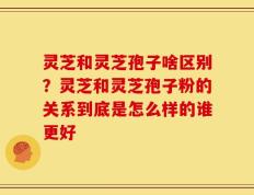 灵芝和灵芝孢子啥区别？灵芝和灵芝孢子粉的关系到底是怎么样的谁更好