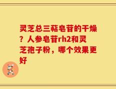 灵芝总三萜皂苷的干燥？人参皂苷rh2和灵芝孢子粉，哪个效果更好