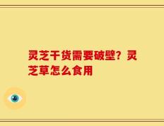 灵芝干货需要破壁？灵芝草怎么食用