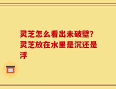 灵芝怎么看出未破壁？灵芝放在水里是沉还是浮