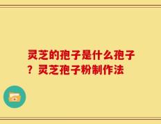 灵芝的孢子是什么孢子？灵芝孢子粉制作法
