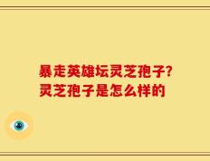 暴走英雄坛灵芝孢子？灵芝孢子是怎么样的