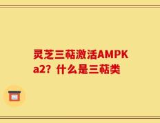 灵芝三萜激活AMPKa2？什么是三萜类