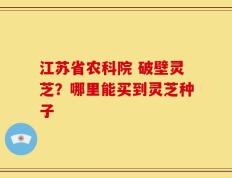 江苏省农科院 破壁灵芝？哪里能买到灵芝种子