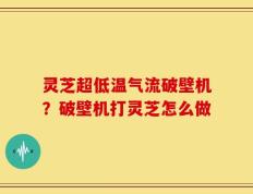 灵芝超低温气流破壁机？破壁机打灵芝怎么做