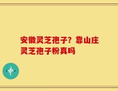 安徽灵芝孢子？靠山庄灵芝孢子粉真吗