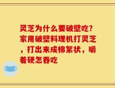 灵芝为什么要破壁吃？家用破壁料理机打灵芝，打出来成棉絮状，嚼着硬怎吞吃