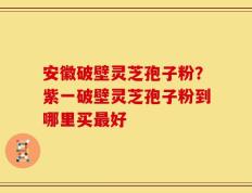 安徽破壁灵芝孢子粉？紫一破壁灵芝孢子粉到哪里买最好