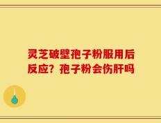 灵芝破壁孢子粉服用后反应？孢子粉会伤肝吗