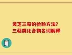 灵芝三萜的检验方法？三萜类化合物名词解释