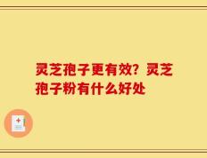 灵芝孢子更有效？灵芝孢子粉有什么好处