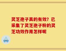 灵芝孢子真的有效？已采集了灵芝孢子粉的灵芝功效作用怎样呢