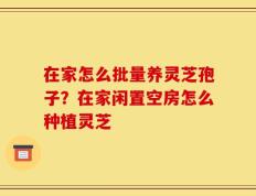 在家怎么批量养灵芝孢子？在家闲置空房怎么种植灵芝