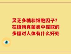 灵芝多糖和细胞因子？在植物真菌类中提取的多糖对人体有什么好处