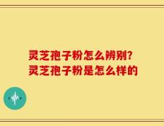 灵芝孢子粉怎么辨别？灵芝孢子粉是怎么样的