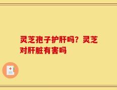灵芝孢子护肝吗？灵芝对肝脏有害吗