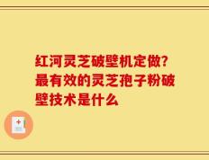 红河灵芝破壁机定做？最有效的灵芝孢子粉破壁技术是什么