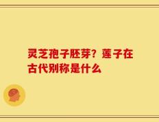 灵芝孢子胚芽？莲子在古代别称是什么