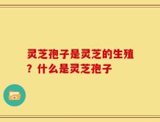 灵芝孢子是灵芝的生殖？什么是灵芝孢子
