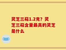 灵芝三萜1.2克？灵芝三萜含量最高的灵芝是什么