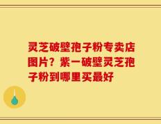 灵芝破壁孢子粉专卖店图片？紫一破壁灵芝孢子粉到哪里买最好