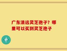 广东清远灵芝孢子？哪里可以买到灵芝孢子