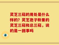 灵芝三萜的用处是什么样的？灵芝孢子粉里的灵芝三萜和总三萜，说的是一回事吗