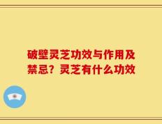 破壁灵芝功效与作用及禁忌？灵芝有什么功效