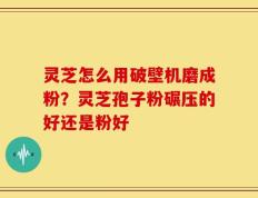 灵芝怎么用破壁机磨成粉？灵芝孢子粉碾压的好还是粉好