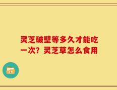 灵芝破壁等多久才能吃一次？灵芝草怎么食用