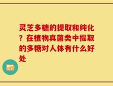 灵芝多糖的提取和纯化？在植物真菌类中提取的多糖对人体有什么好处
