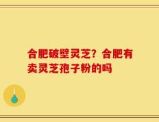 合肥破壁灵芝？合肥有卖灵芝孢子粉的吗