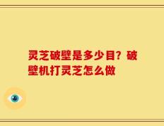 灵芝破壁是多少目？破壁机打灵芝怎么做