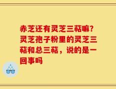 赤芝还有灵芝三萜嘛？灵芝孢子粉里的灵芝三萜和总三萜，说的是一回事吗