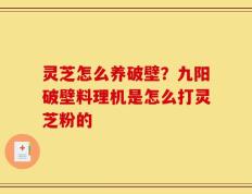 灵芝怎么养破壁？九阳破壁料理机是怎么打灵芝粉的