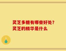 灵芝多糖有哪些好处？灵芝的精华是什么