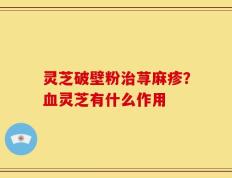 灵芝破壁粉治荨麻疹？血灵芝有什么作用
