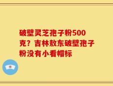 破壁灵芝孢子粉500克？吉林敖东破壁孢子粉没有小看帽标