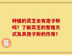 种植的灵芝会有孢子粉吗？了解灵芝的繁殖方式及其孢子粉的作用？